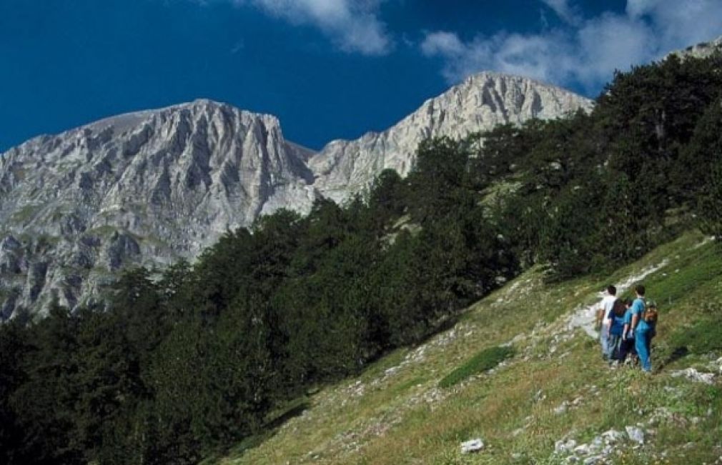 &Omicron;&rho;&epsilon;&iota;&beta;&alpha;&sigma;ί&alpha; &sigma;&tau;&omicron;&nu; Ό&lambda;&upsilon;&mu;&pi;&omicron;