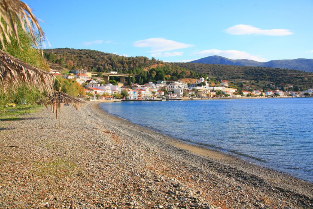 &Pi;&rho;&omicron;&omicron;&rho;&iota;&sigma;&mu;ό&sigmaf; &gamma;&iota;&alpha; ό&lambda;&epsilon;&sigmaf; &tau;&iota;&sigmaf; &epsilon;&pi;&omicron;&chi;έ&sigmaf; &eta; &Phi;&omega;&kappa;ί&delta;&alpha;